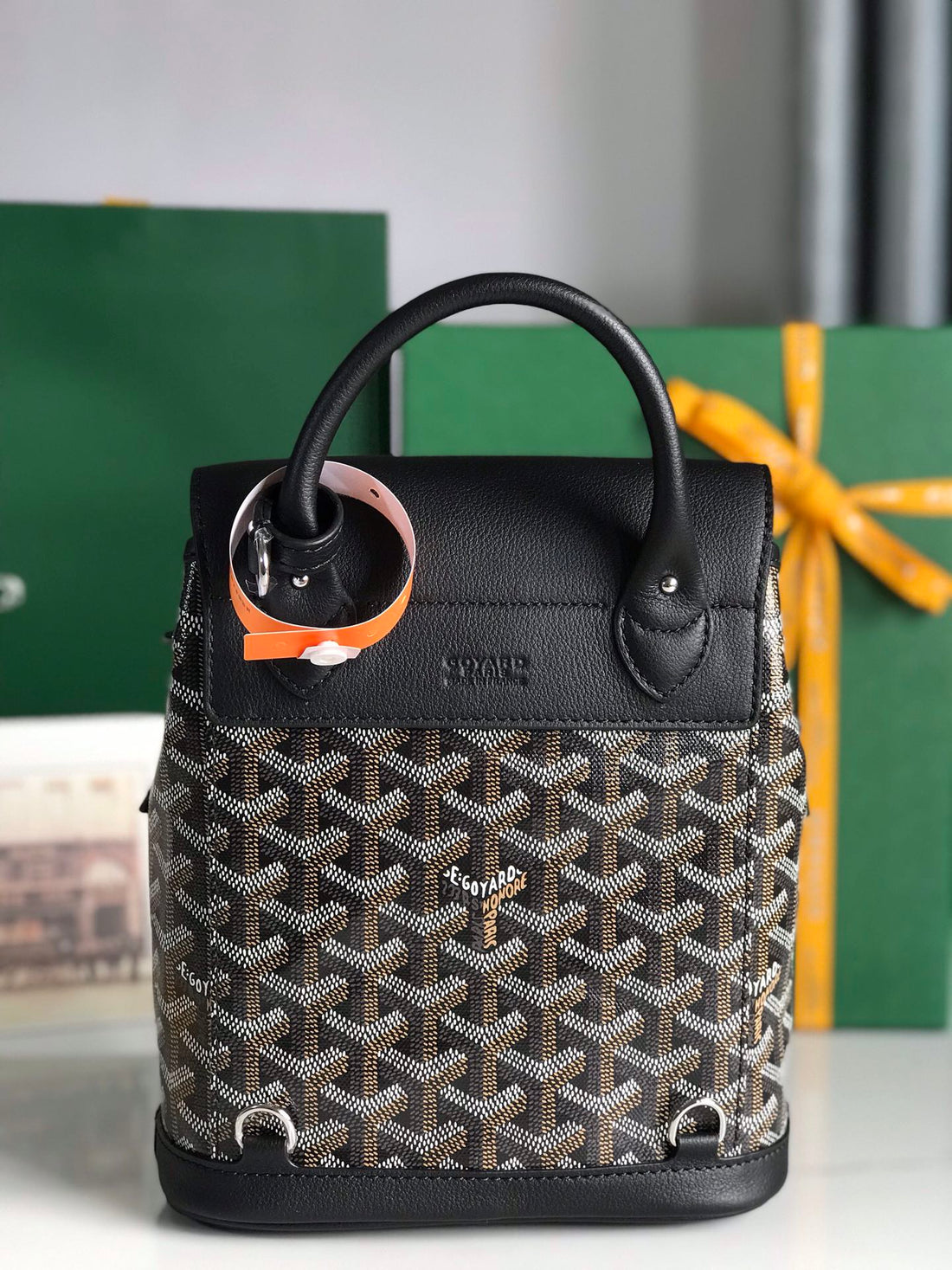 ALPIN MINI BACKPACK 21 IN BLACK LAMBSKIN AND GOYARDINE CANVAS Luxe Carry Bags