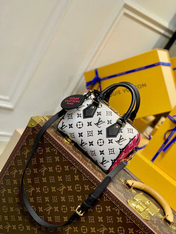 Luxe Carry - LV Bags - 16889