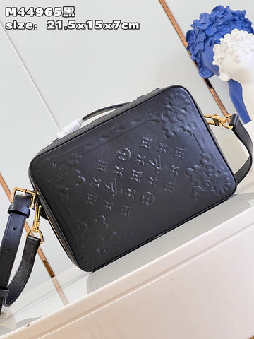 Luxe Carry - LV Bags - 15476