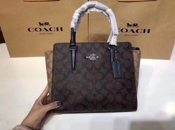 Luxe Carry - CCH Bags - 479
