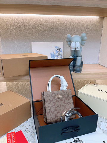 Luxe Carry - CCH Bags - 089