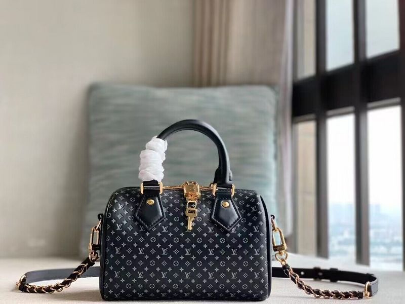 Luxe Carry - LV Bags - 15680