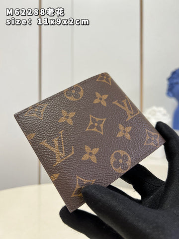 Luxe Carry - LV Bags - 16083