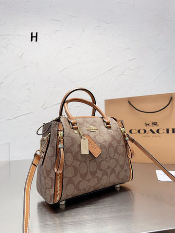 Luxe Carry - CCH Bags - 289