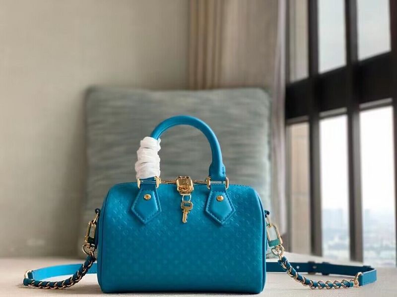 Luxe Carry - LV Bags - 15679
