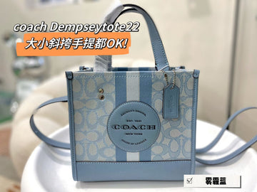 Luxe Carry - CCH Bags - 084