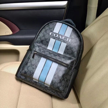 Luxe Carry - CCH Bags - 459