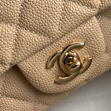Luxe Carry - CHL Bags - 2255