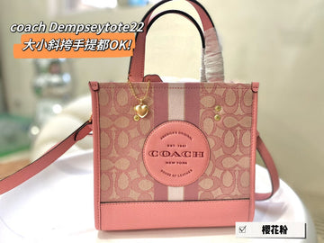 Luxe Carry - CCH Bags - 087