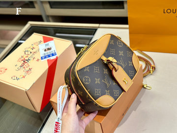 Luxe Carry - LV Bags - 15035