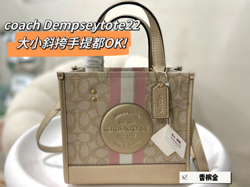 Luxe Carry - CCH Bags - 082